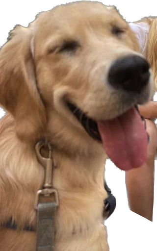 Ellie