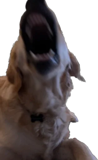 Ellie