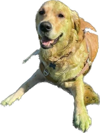 Ellie